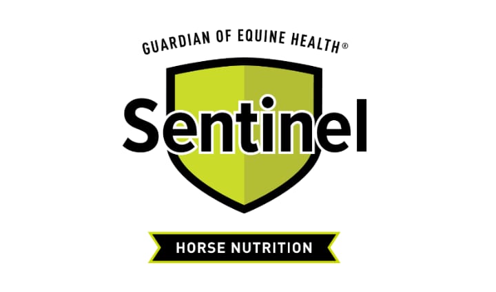 Sentinel Logo | Guarding of Equine Health | Horse Nutrition